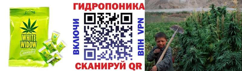 Печенье с ТГК конопля  Кудрово 