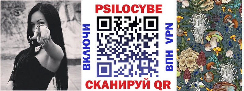 кракен ССЫЛКА  Кудрово  Псилоцибиновые грибы GOLDEN TEACHER 