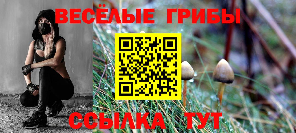 Кудрово  Псилоцибиновые грибы Psilocybe  Псилоцибиновые грибы Magic Shrooms  Вход с VPN 